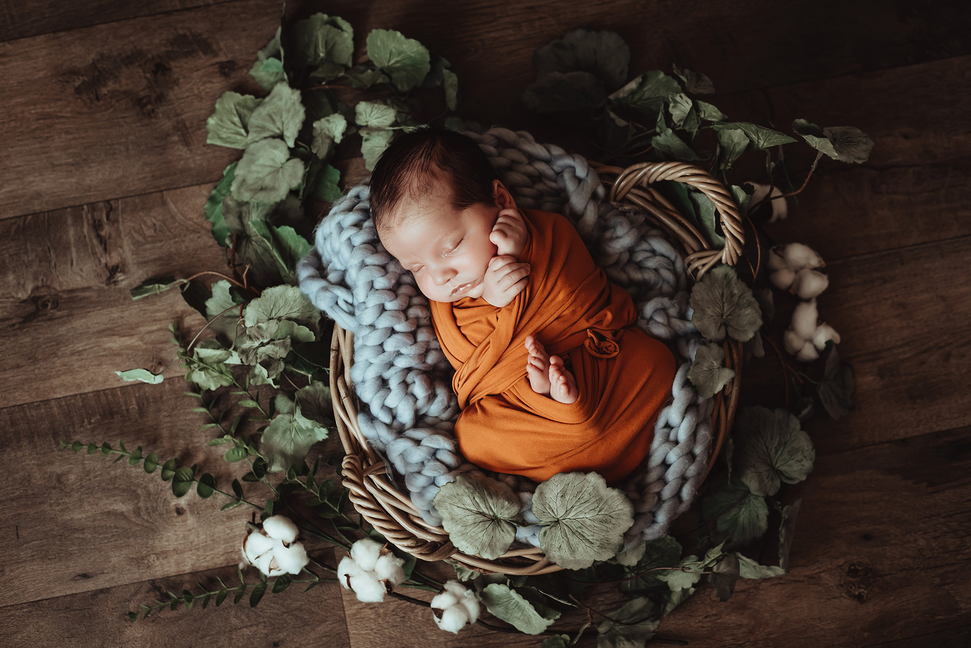 bebe grossesse isabelle galipaud (39)