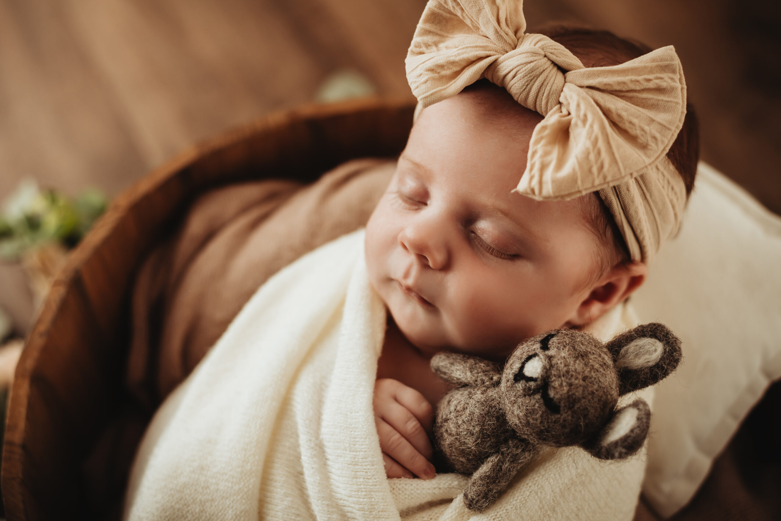 Bébé dormant emmailloté avec une peluche