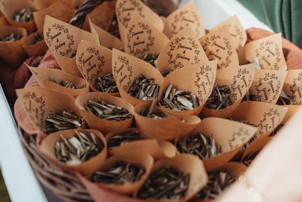 Cérémonie laïque au chateau de la Rousselière - Frossay